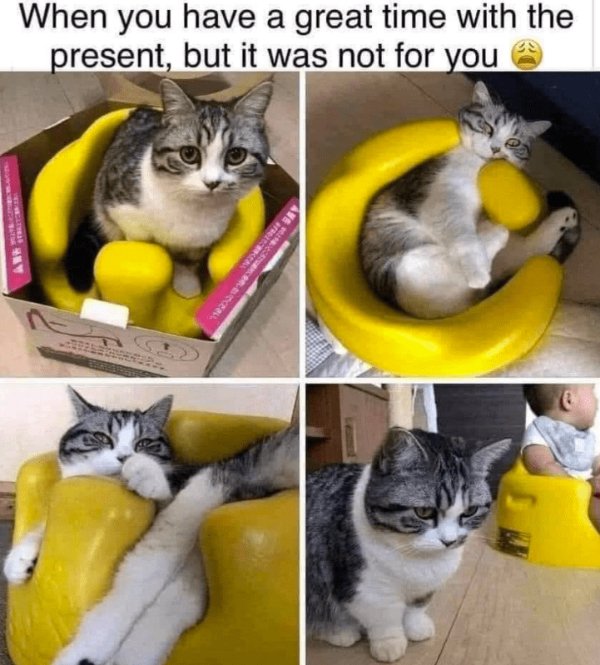Jokes And Photos For Cats Lovers (31 pics)