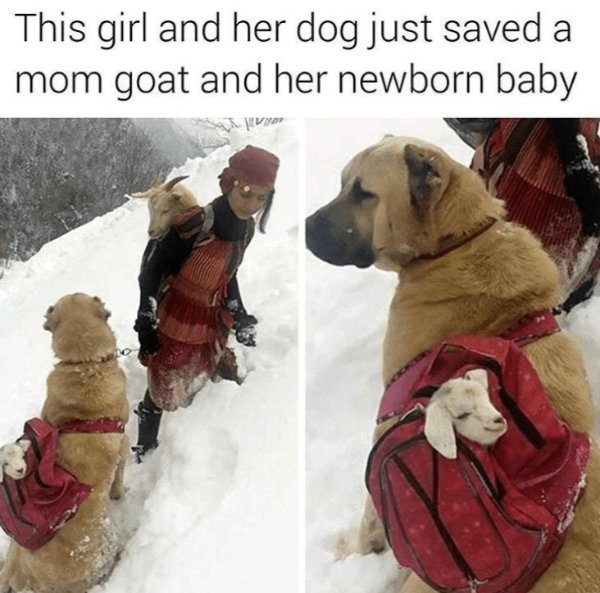 Post And Photos For Good Mood (25 pics)