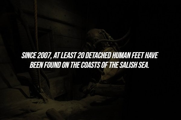 Creepy Facts (14 pics)
