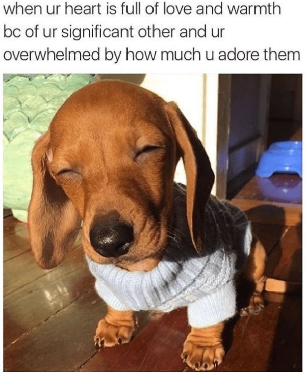Post And Photos For Good Mood (25 pics)