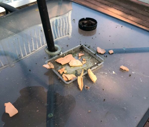 The Heat Is Horrible (27 pics)