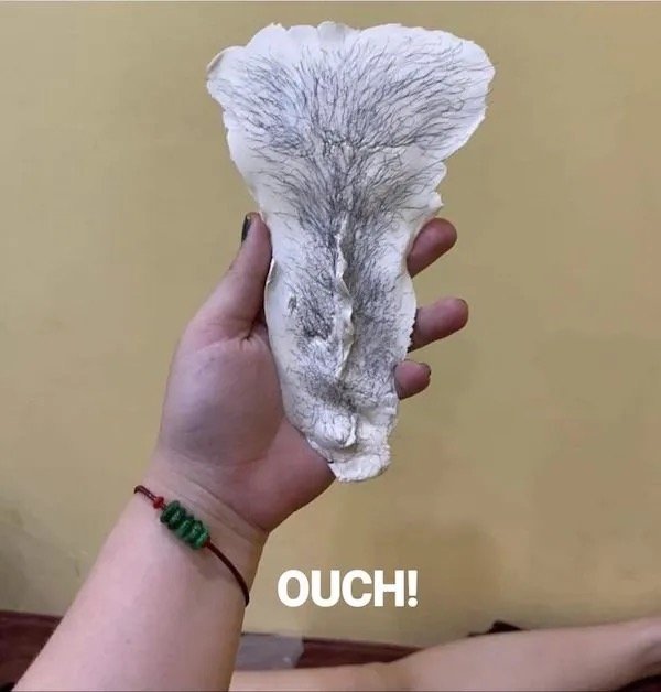 What Is Going On Here? (31pics)