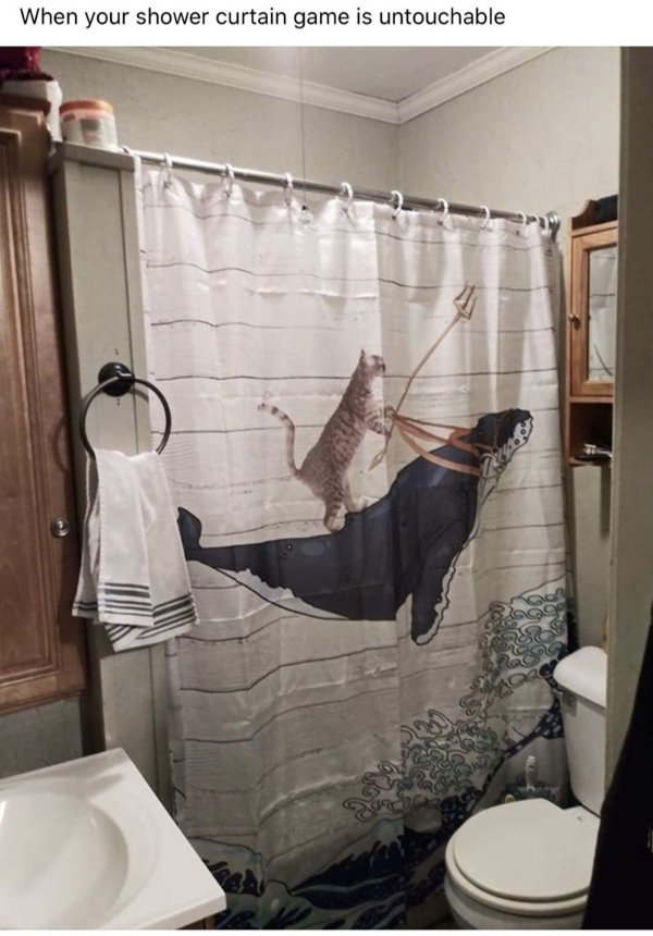 Jokes And Photos For Cats Lovers (31 pics)