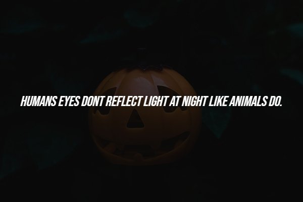 Creepy Facts (14 pics)