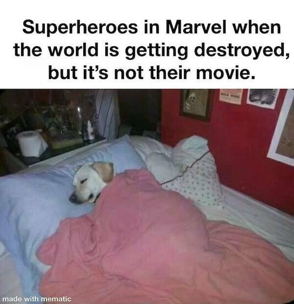 Memes For Movie Fans (29 pics)