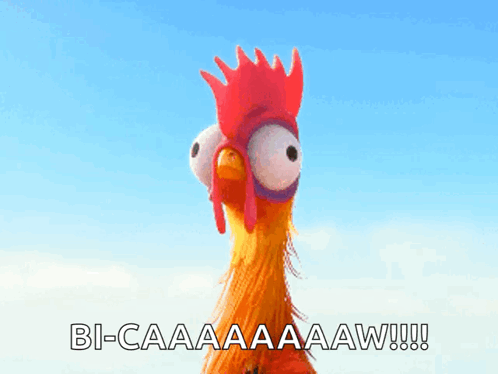 Interesting Facts (16 gifs)