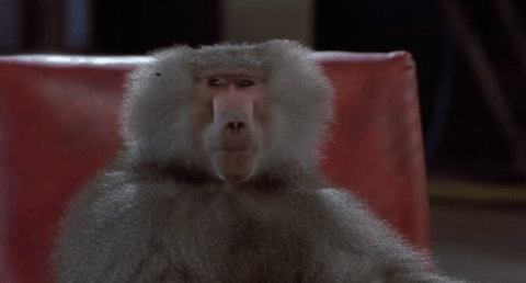 Interesting Facts (16 gifs)
