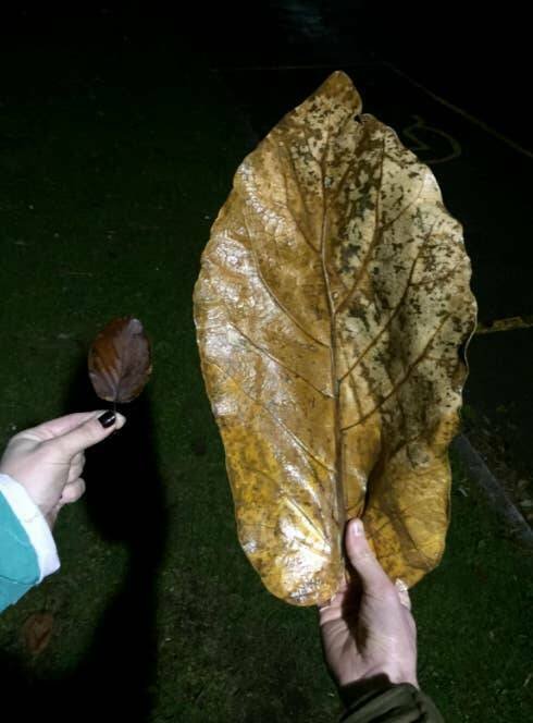 Interesting Finds (19 pics)