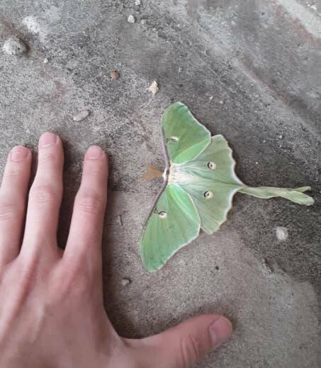 Interesting Finds (19 pics)