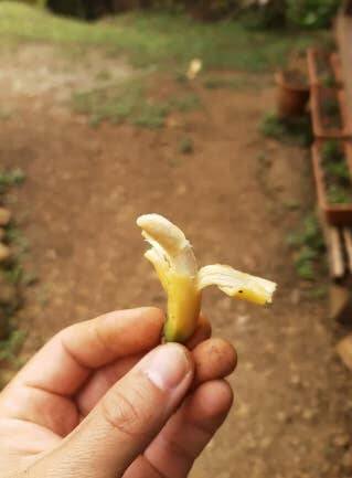 Interesting Finds (19 pics)