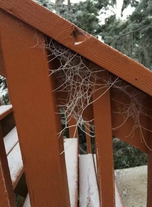 Interesting Finds (19 pics)
