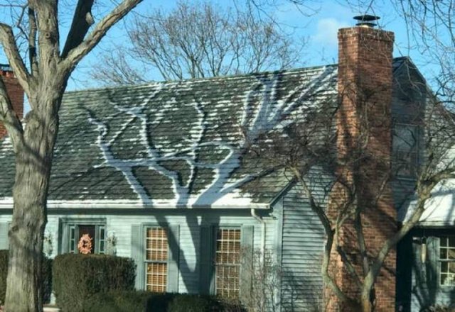 Interesting Finds (19 pics)