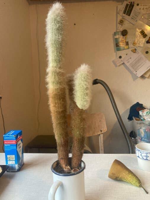 Interesting Finds (19 pics)
