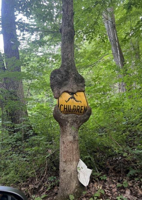 Interesting Finds (19 pics)