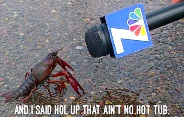 Truthful Jokes For Dads (19 pics)