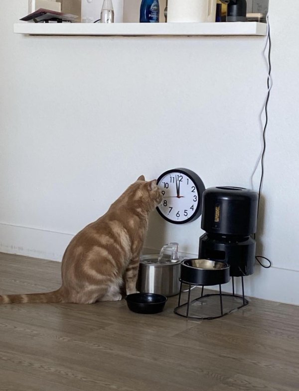 What Is Going On Here? (35 pics)
