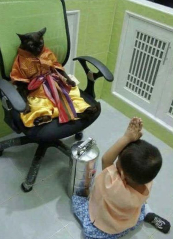 What Is Going On Here? (35 pics)