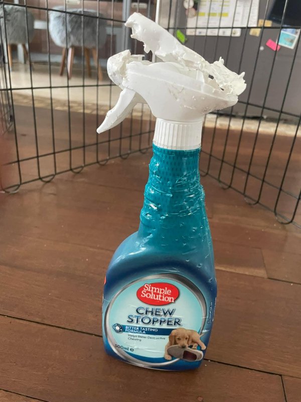 What Is Going On Here? (35 pics)