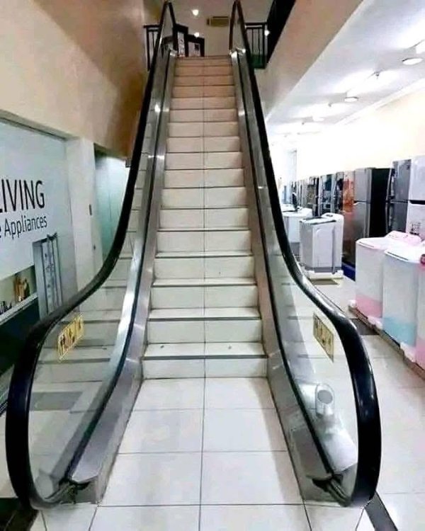 What Is Going On Here? (35 pics)