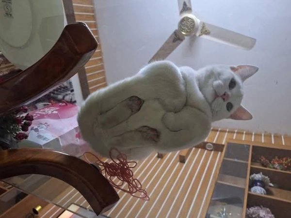 What Is Going On Here? (35 pics)