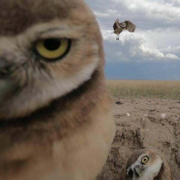 Right Moment (19 pics)