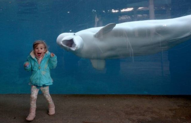 Right Moment (19 pics)