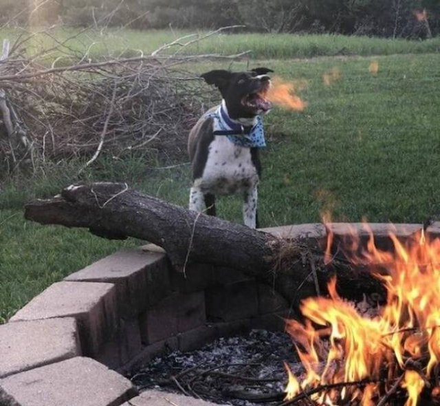 Right Moment (19 pics)