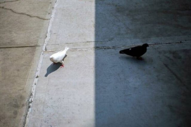 Right Moment (19 pics)