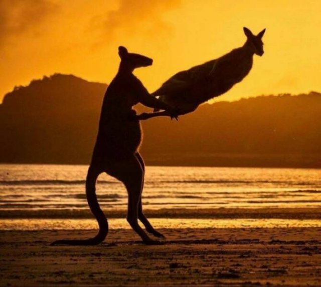 Right Moment (19 pics)
