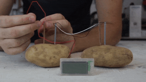 Surprising Facts About Potatoes (15 gifs) Surprising Facts About Potatoes (15 gifs)