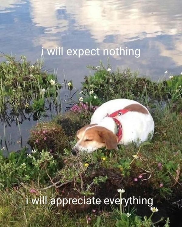 Pleasant Thoughts (23 pics)