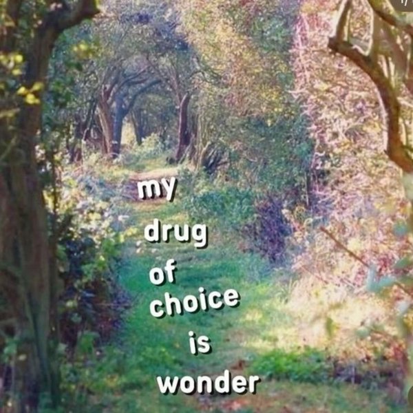 Pleasant Thoughts (23 pics)