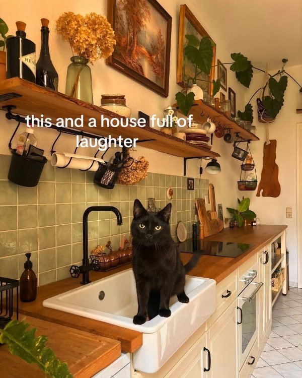 Pleasant Thoughts (23 pics)