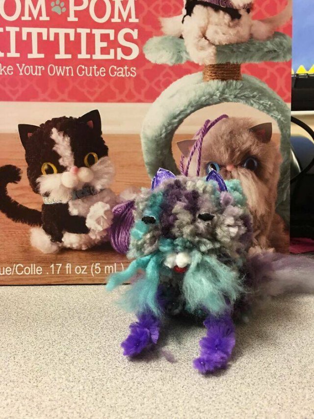 Weird DIY Crafts (24 pics)