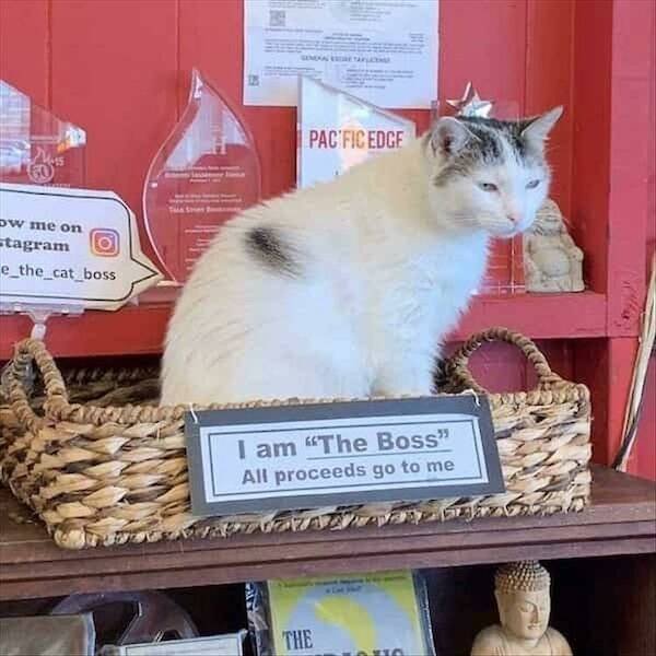Hilarious Work Photos (18 pics)