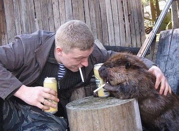 Strange Finds And Situations (29 pics)