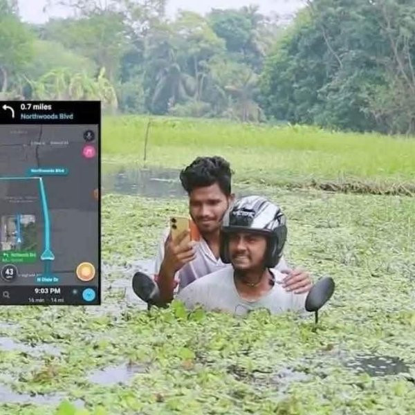 Strange Finds And Situations (29 pics)