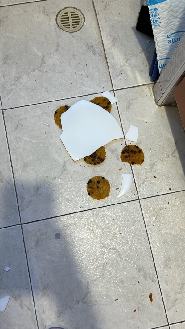 Bad Days Happen (24 pics)