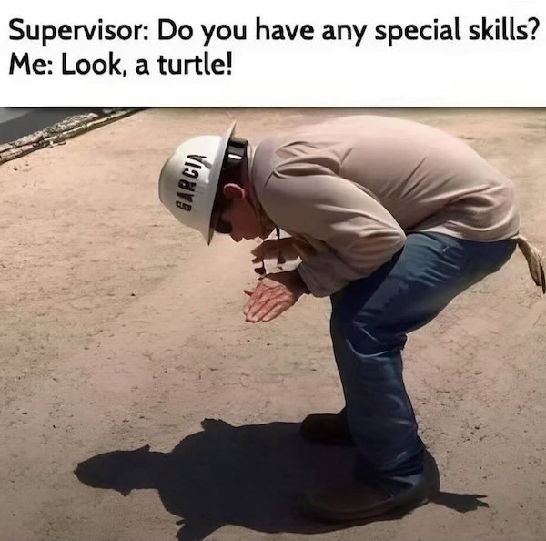 Work Memes (30 pics)