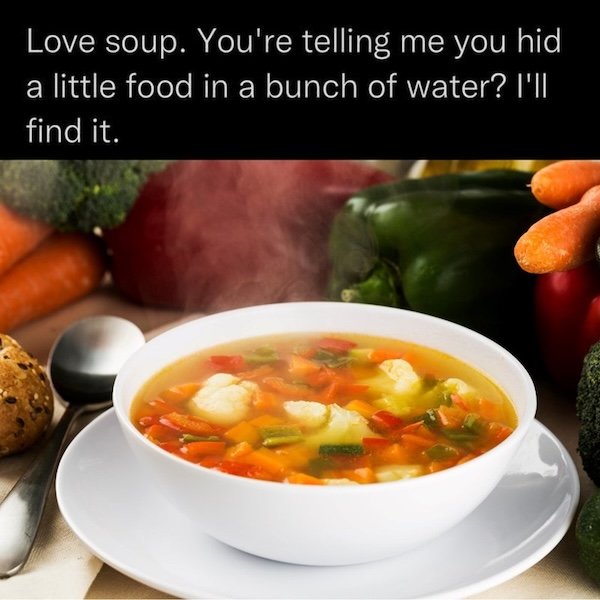 Memes About Food (22 pics)