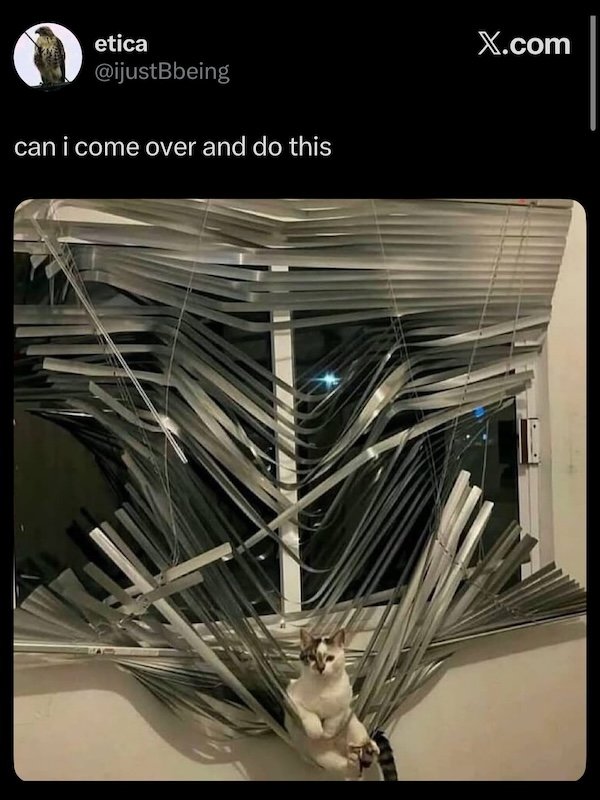 Work Memes (30 pics)