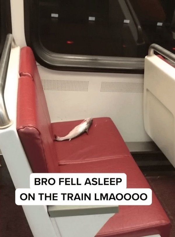 Strange Finds And Situations (29 pics)