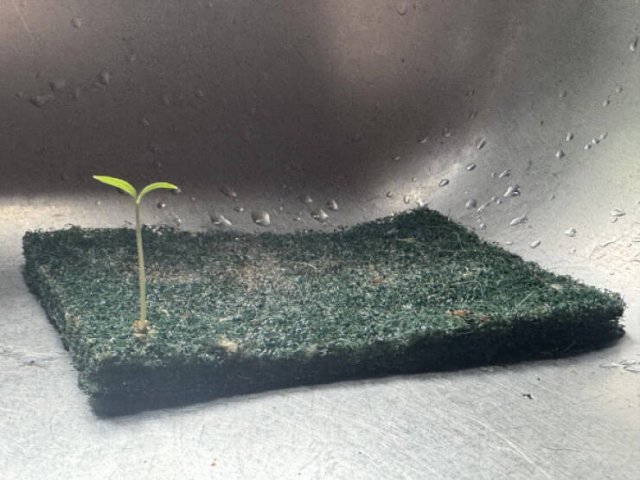 Interesting Finds (25 pics)