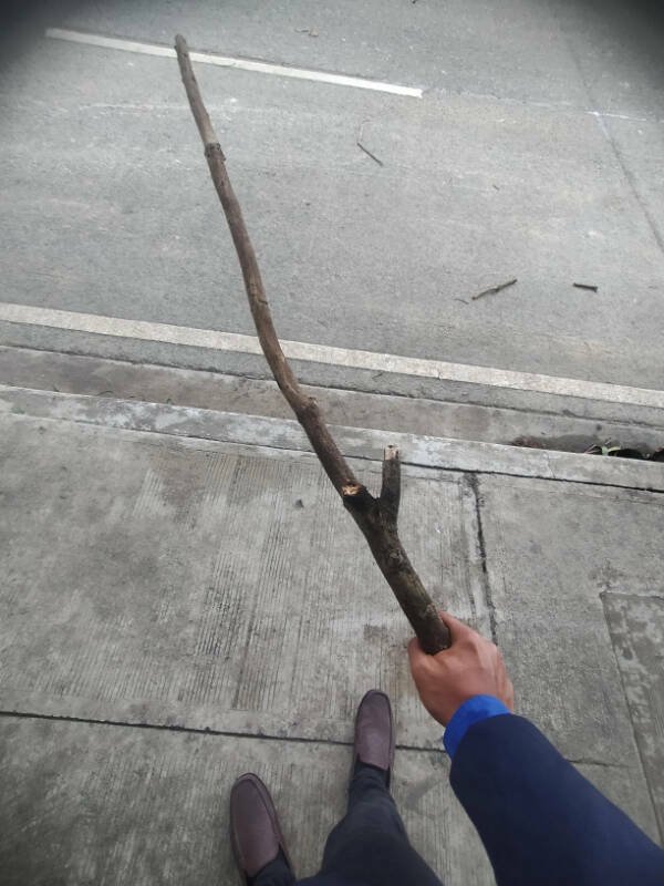 Photos For Perfectionists (24 pics)