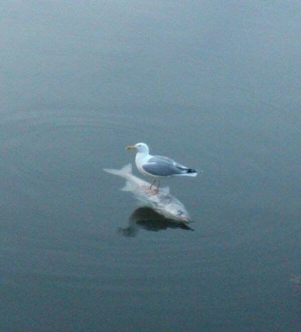 Unexpected Coincidences (23 pics)