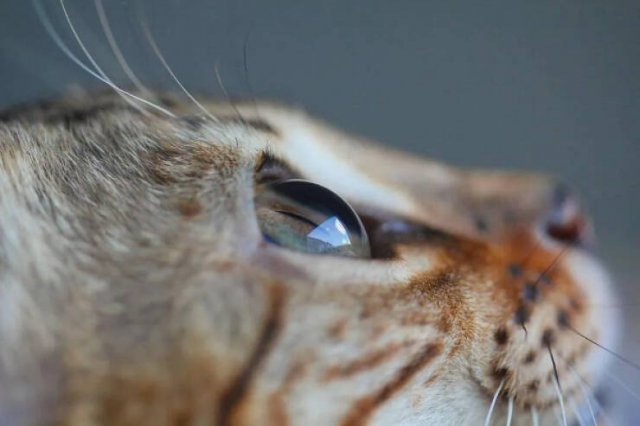 Photos For Perfectionists (24 pics)