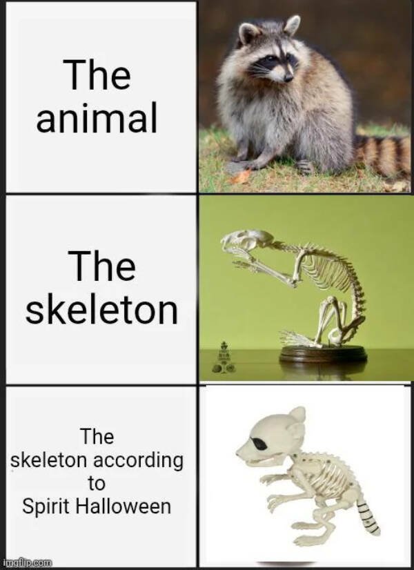 Funny Memes (24 pics)