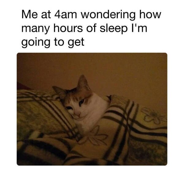 Funny Memes (24 pics)
