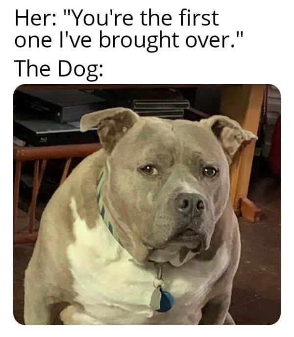 Funny Memes (24 pics)