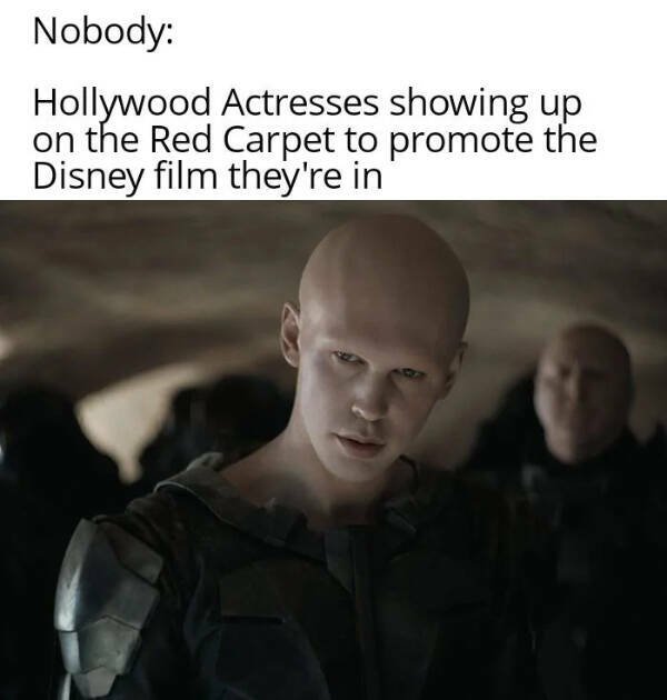 Funny Memes (24 pics)